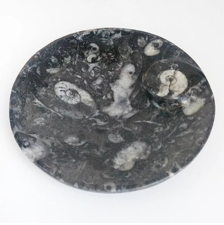 Coupelle en Orthocéras fossile : objet déco et énergétique. Pierre naturelle protectrice, idéale pour ancrage, clarté et équilibre.