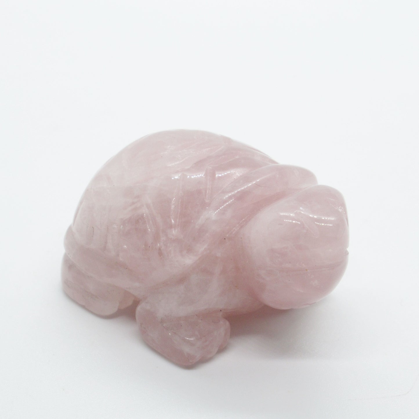 Figurine - Tortue - 50 mm