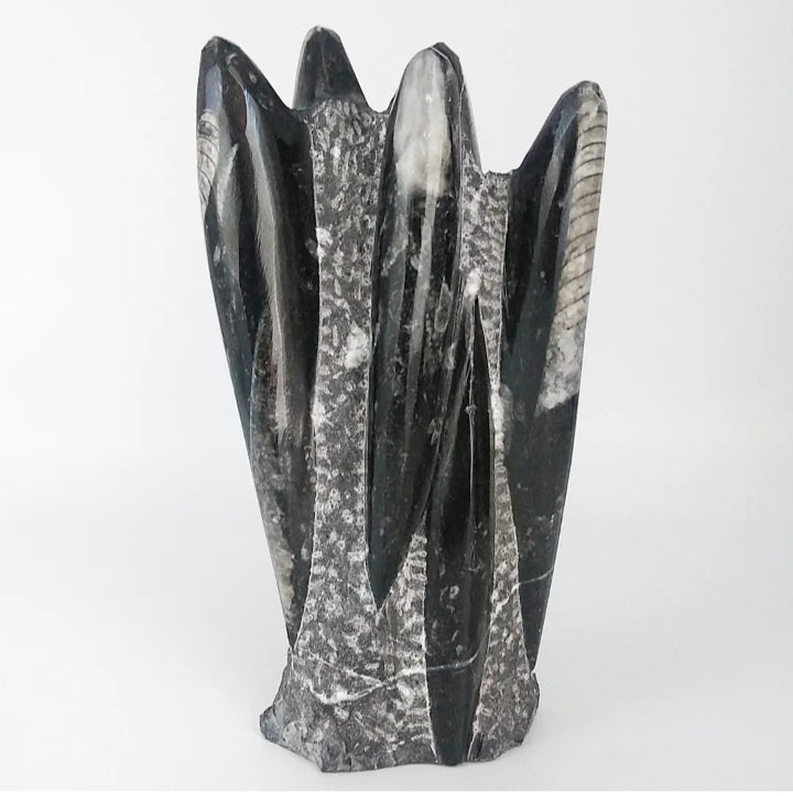 Orthocéras fossile 18 cm, sculpture fossile naturelle, décoration minérale, pierre énergétique, fossile céphalopode, bienfaits Orthocéras, ancrage chakra racine, objet déco fossile, fossile pierre naturelle