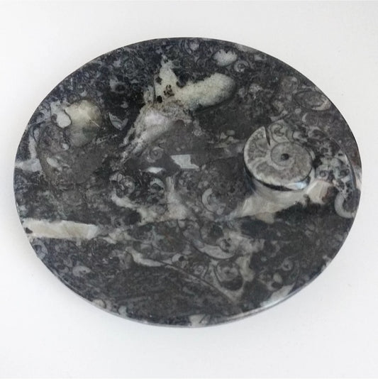 Coupelle en Orthocéras fossile : objet déco et énergétique. Pierre naturelle protectrice, idéale pour ancrage, clarté et équilibre.

