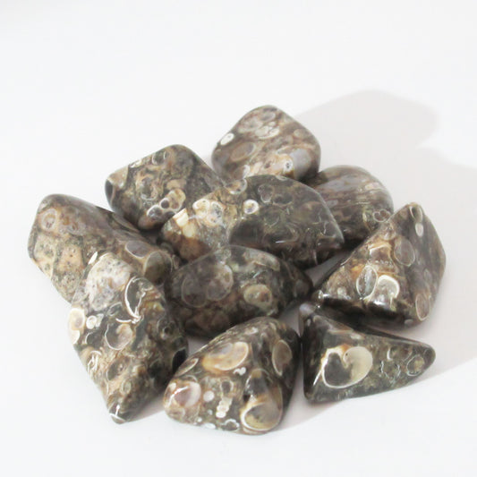Achat Turtelles 23 Karat - Cabochon Sten Natürlche - USA / EF4 | eBay Achat Turtelles 23 Karat - Cabochon Sten Natürlche - USA / EF4 | eBay